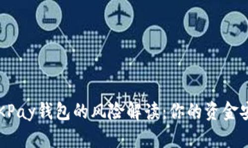 下载OKPay钱包的风险解读：你的资金安全吗？