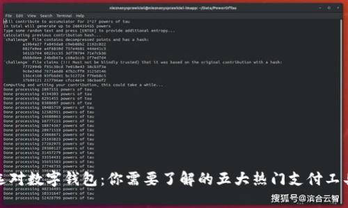 选对数字钱包：你需要了解的五大热门支付工具