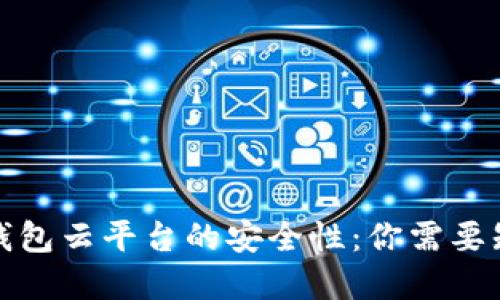 揭秘加密钱包云平台的安全性：你需要知道的一切