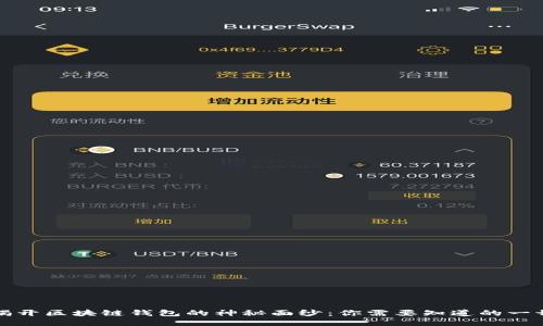 揭开区块链钱包的神秘面纱：你需要知道的一切