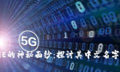 揭开POLYDOGE的神秘面纱：探讨其中文名字和背后的