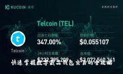 快速掌握数字藏品钱包交易的全攻略