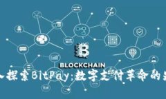 深入探索BitPay：数字支付革命的先锋
