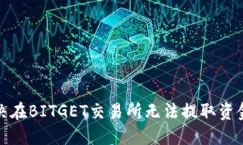 如何解决在BITGET交易所无法提取资金的问题