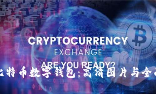 探索比特币数字钱包：高清图片与全面指南