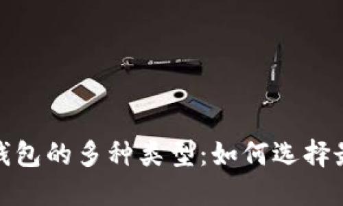 探索数字货币钱包的多种类型：如何选择最适合你的选项