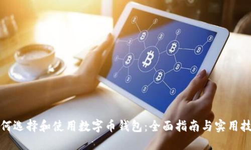 如何选择和使用数字币钱包：全面指南与实用技巧