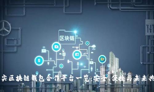 顶尖区块链钱包合作平台一览：安全、便捷与未来共舞