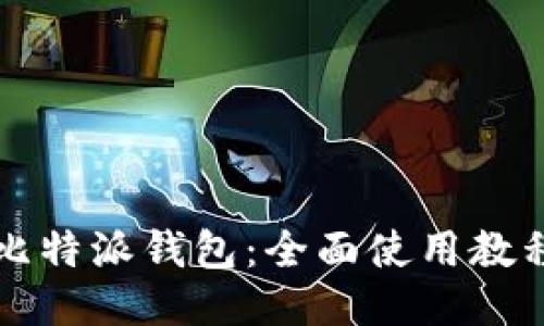 深入探索比特派钱包：全面使用教程视频指南