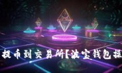 如何轻松提币到交易所？波宝钱包操作全指南