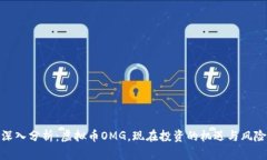 深入分析：虚拟币OMG，现在投资的机遇与风险