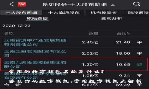 常用的数字钱包名称是什么？

普及你的数字钱包：常用数字钱包大解析