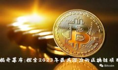 揭开幕布：探索2023年最具潜力的区块链项目