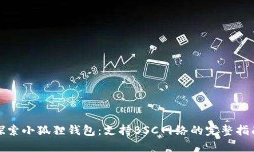 探索小狐狸钱包：支持BSC网络的完整指南