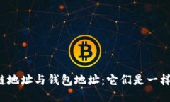 区块链地址与钱包地址：它们是一样的吗？