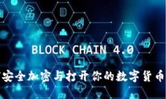 如何安全加密与打开你的数字货币钱包