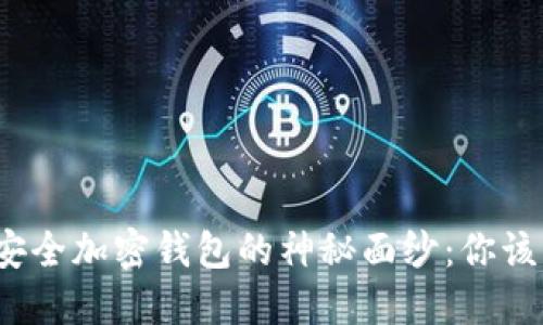 揭开最安全加密钱包的神秘面纱：你该怎么选？