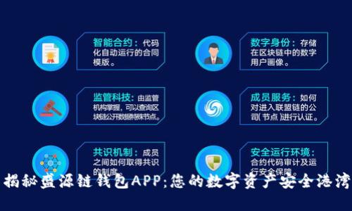 揭秘盛源链钱包APP：您的数字资产安全港湾