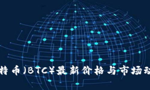 今日比特币（BTC）最新价格与市场动态分析