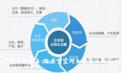 揭示数字货币的未来：政府官宣对加密货币的影响与机遇