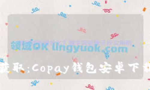 轻松获取：Copay钱包安卓下载指南