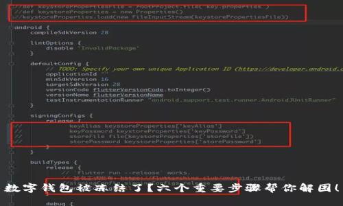数字钱包被冻结了？六个重要步骤帮你解困！