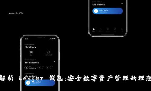 全面解析 Ledger 钱包：安全数字资产管理的理想选择