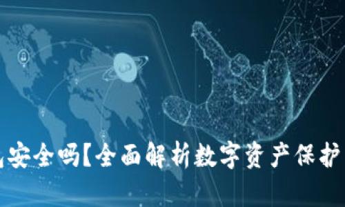 数字币钱包安全吗？全面解析数字资产保护与风险防范