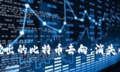 揭秘中本聪挖出的比特币去向：消失的财富与谜