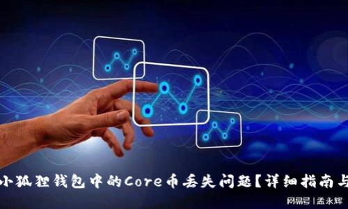如何解决小狐狸钱包中的Core币丢失问题？详细指南与实用技巧