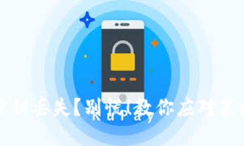 区块链钱包密钥丢失？别慌！教你应对策略与预防措施