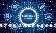 轻松掌握数字钱包：选择最适合你的数字支付工