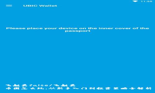 飞艇类false/飞艇类
币圈怎么玩：从新手入门到投资策略全解析