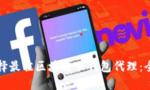 如何选择最佳区块链云钱包代理：全面指南