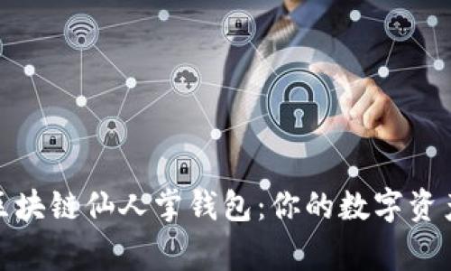 轻松掌握区块链仙人掌钱包：你的数字资产保护专家