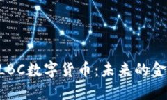 深入探讨TLBC数字货币：未来的金融革命新星