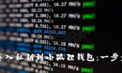 如何轻松导入私钥到小狐狸钱包：一步步教学指