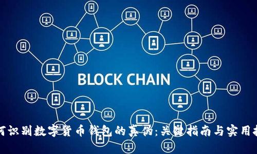 如何识别数字货币钱包的真伪：关键指南与实用技巧