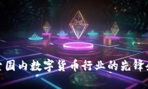 探索国内数字货币行业的先锋企业
