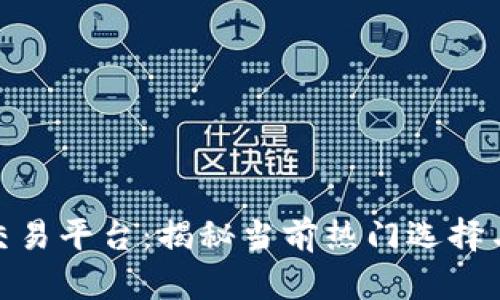 探索虚拟交易平台：揭秘当前热门选择与用户体验