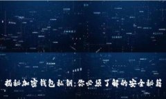 揭秘加密钱包私钥：你必须了解的安全秘籍