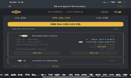 揭秘区块链钱包：如何安全高效地掌控你的数字资产