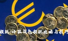 轻松提现：小狐钱包提现攻略与技巧揭秘