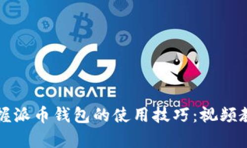 全面掌握派币钱包的使用技巧：视频教程全集