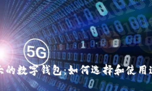 探索美国最大的数字钱包：如何选择和使用这些便捷工具