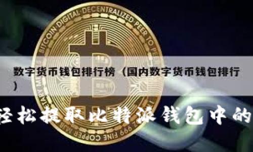 如何轻松提取比特派钱包中的资金？