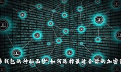 揭开数字货币钱包的神秘面纱：如何选择最适合