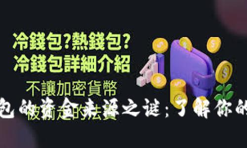 揭开数字钱包的资金来源之谜：了解你的钱从哪里来