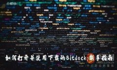 如何打开并使用下载的Bitdock：新手指南