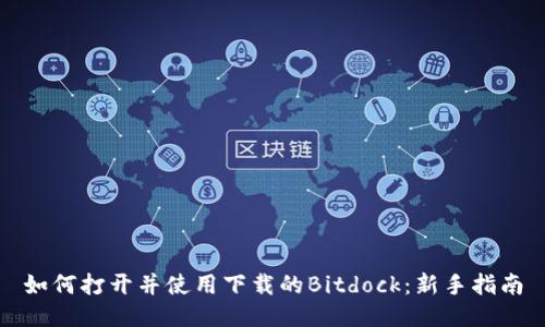 如何打开并使用下载的Bitdock：新手指南